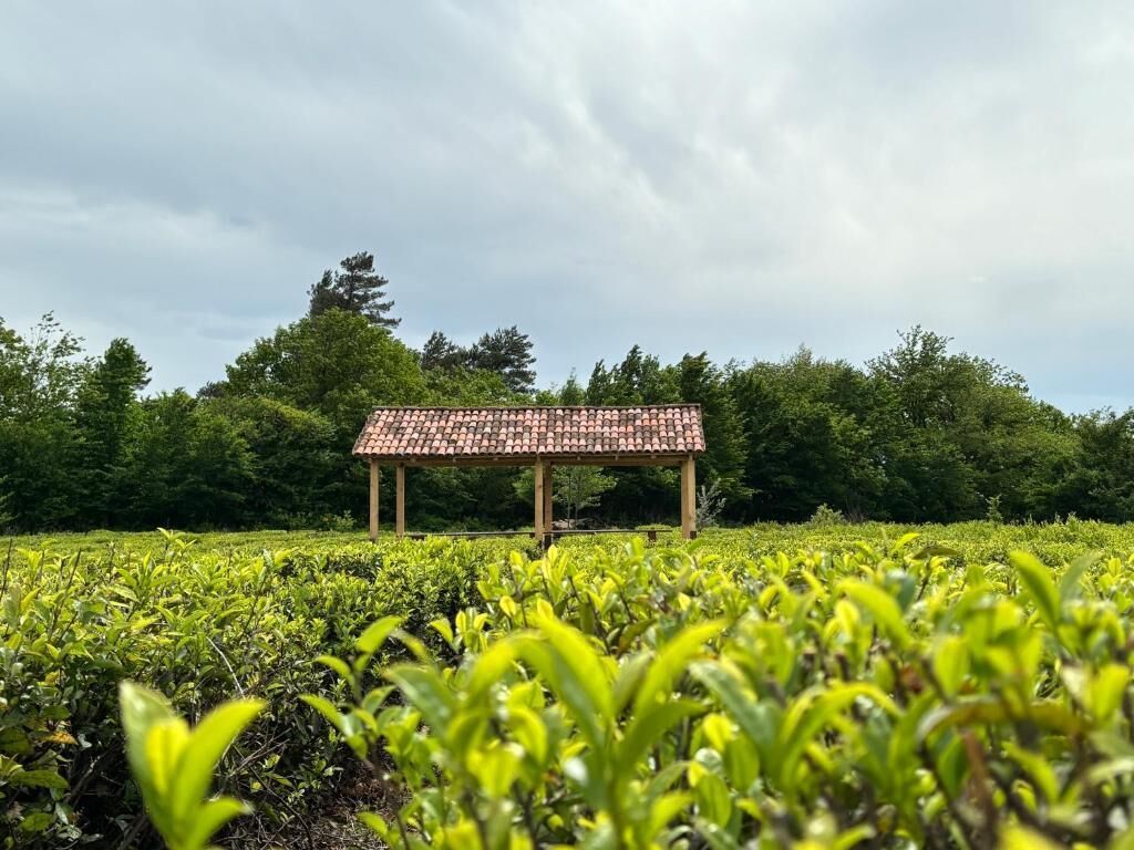 Kahden hengen huone (kaksi sänkyä), parveke, näköala pihalle | Sekalaista