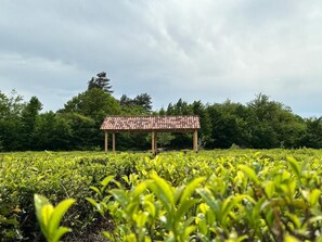 Tomannsrom, balkong, bakgårdsutsikt | Diverse