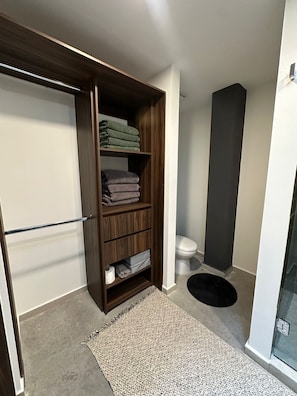 Family Apartment | Bathroom | Hair dryer, towels, soap, shampoo - Tradere (Zapopan)