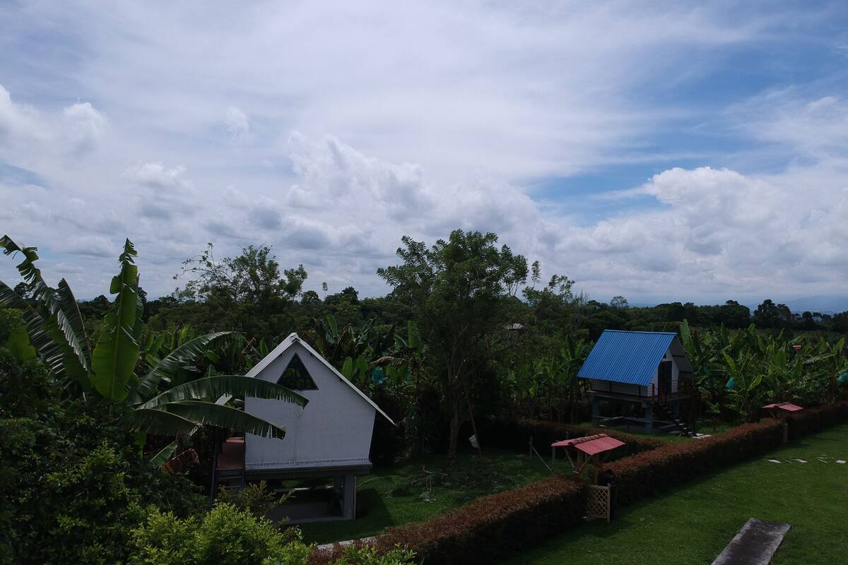 Ein kleines, weißes Gebäude mit blauem Dach, umgeben von üppiger Vegetation und Bananenstauden.