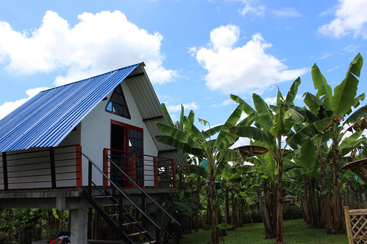 Ein Haus mit einer Metallbedachung, einer Treppe und einem Garten mit Bananenstauden.