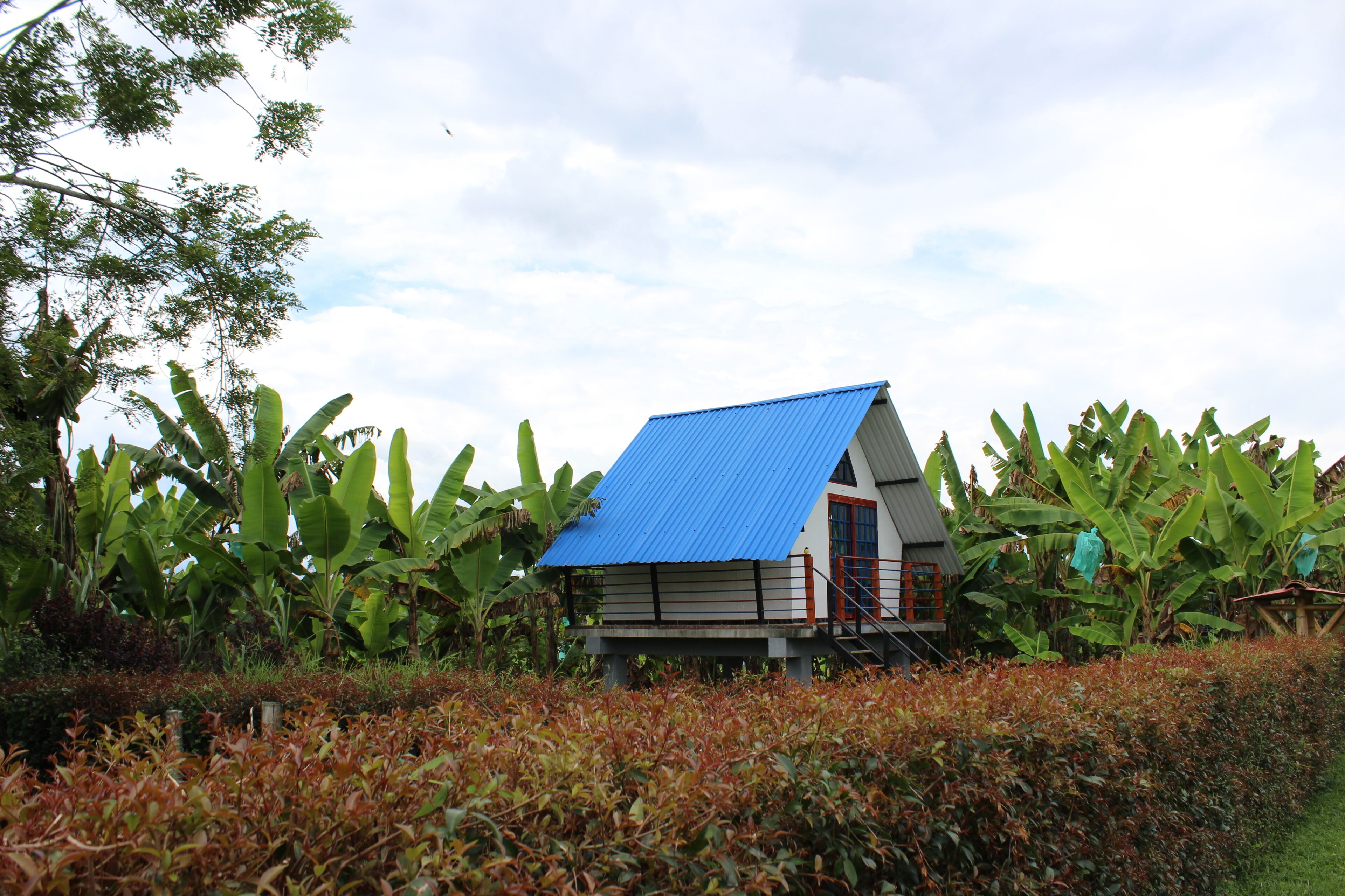 Superior Chalet, Garden View
