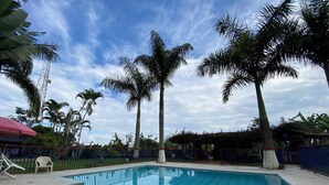 Una piscina rodeada de palmeras y un cielo azul.