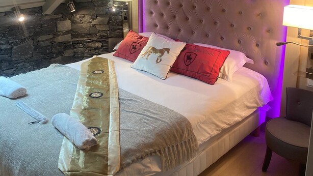 Room - Palazzo Di Acqua  (Le Mans)