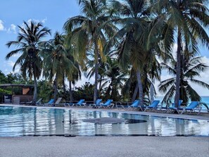 Ein Poolbereich mit Palmen und Liegestühlen.