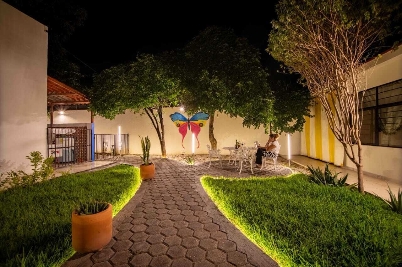 Un patio con un sendero adoquinado, plantas en macetas y un mural de mariposas en la pared.