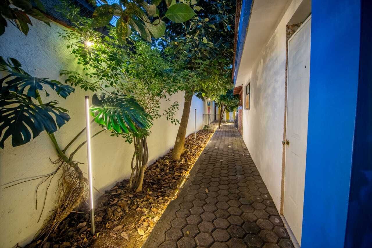 A narrow pathway flanked by walls and vegetation, leading to a building entrance.