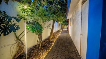 A narrow pathway flanked by walls and vegetation, leading to a building entrance.