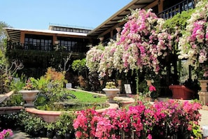 A building with a covered patio area, a small pond, and various flowering plants. - 2-bedroom Hacienda Condo in Puerto Vallarta Spectacular View-Pool-Walk to Beach (Puerto Vallarta)