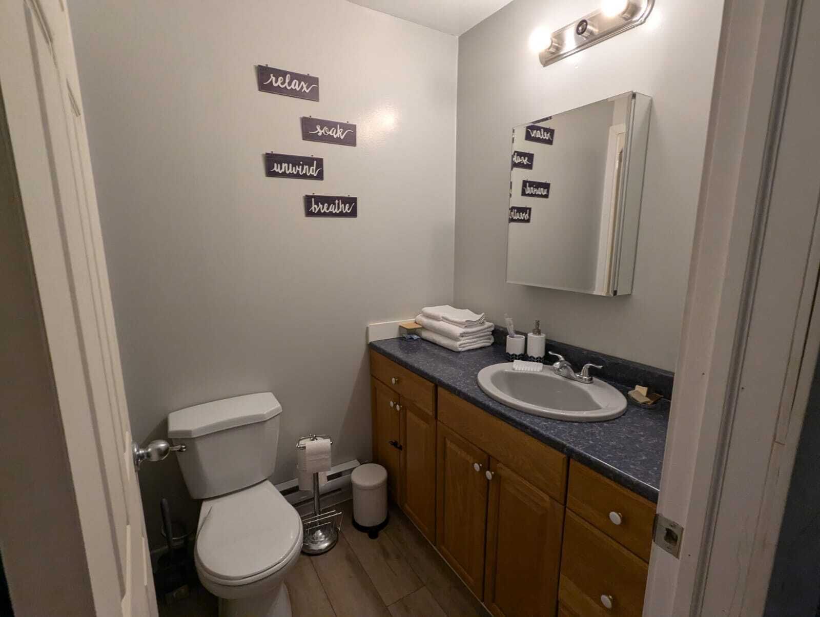 Ein Badezimmer mit Toilette, Waschbecken, Spiegel und Handtuchhaltern an der Wand.