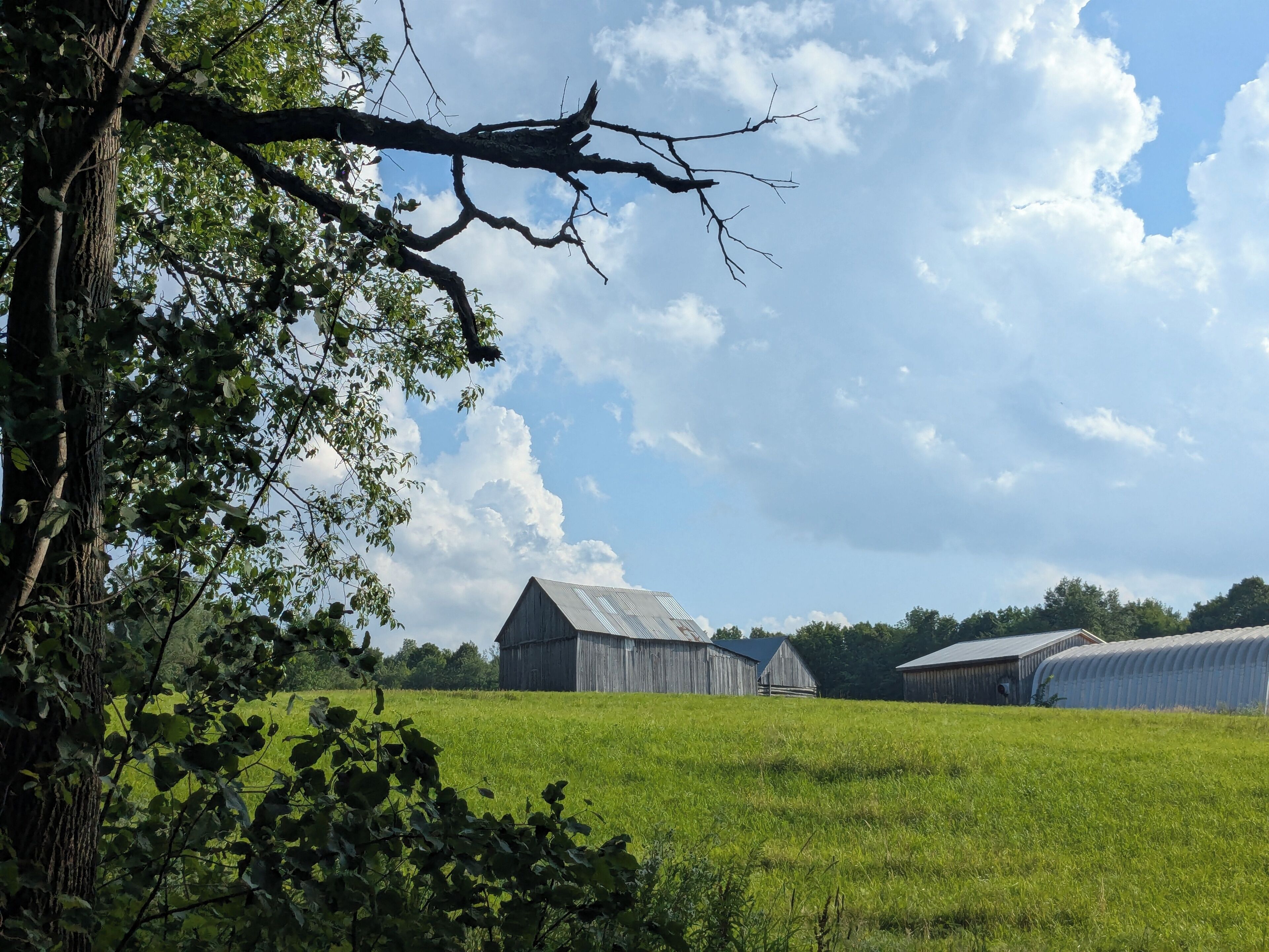 A rural landscape with a barn and green fields.