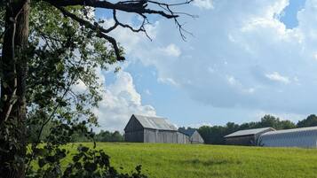 A rural landscape with a barn and green fields.
