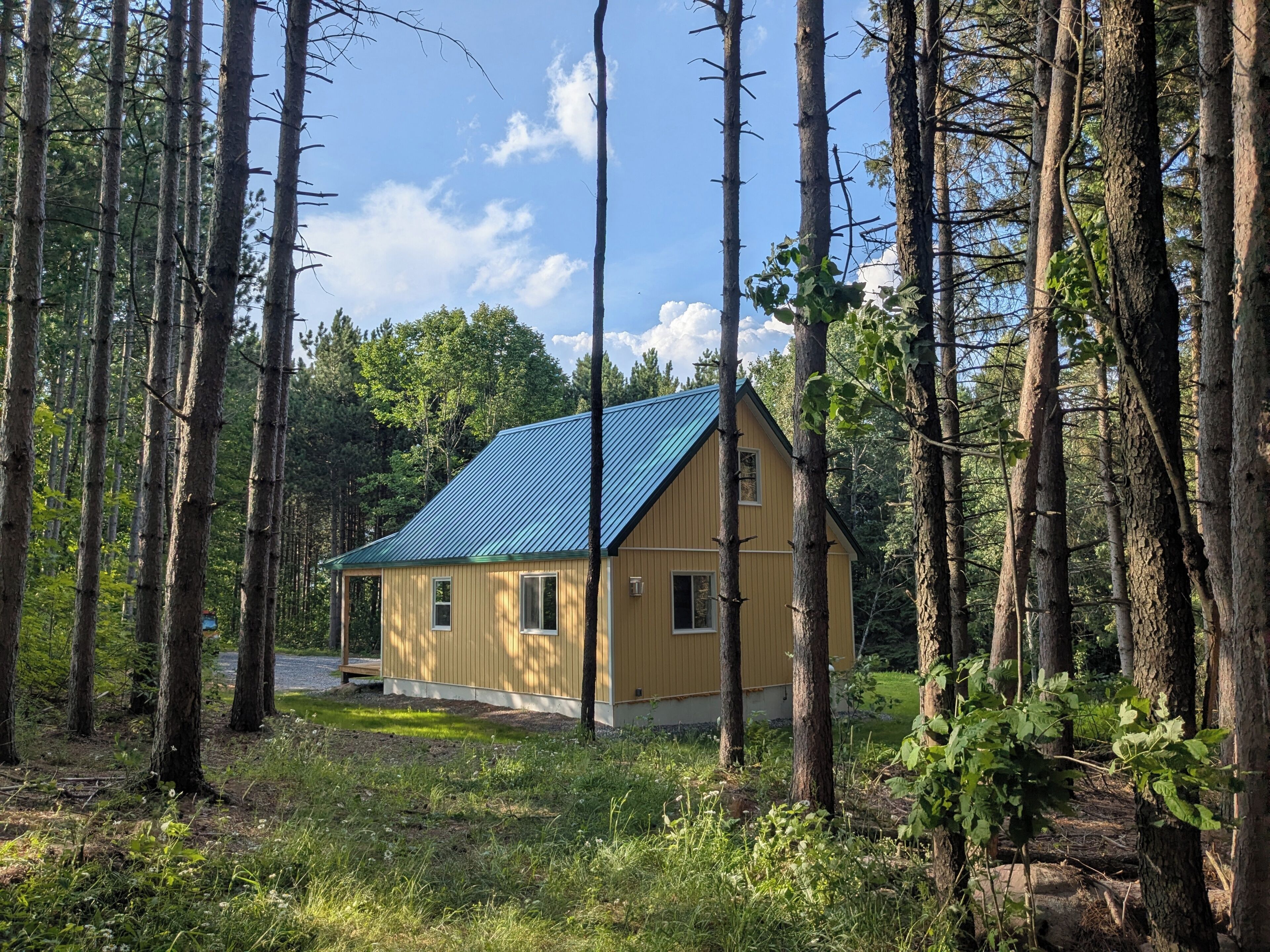 Eine Holzhütte mit blauem Dach, umgeben von hohen Bäumen.