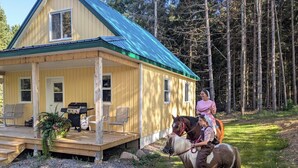 A wooden cabin with a porch, a grill, and a horse. - Cosy on-farm Cottage near Hardwood Lake. Fire pit, hiking trails, Beach nearby (Palmer Rapids)