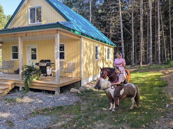 Una cabaña de madera con porche, una parrilla y un caballo.