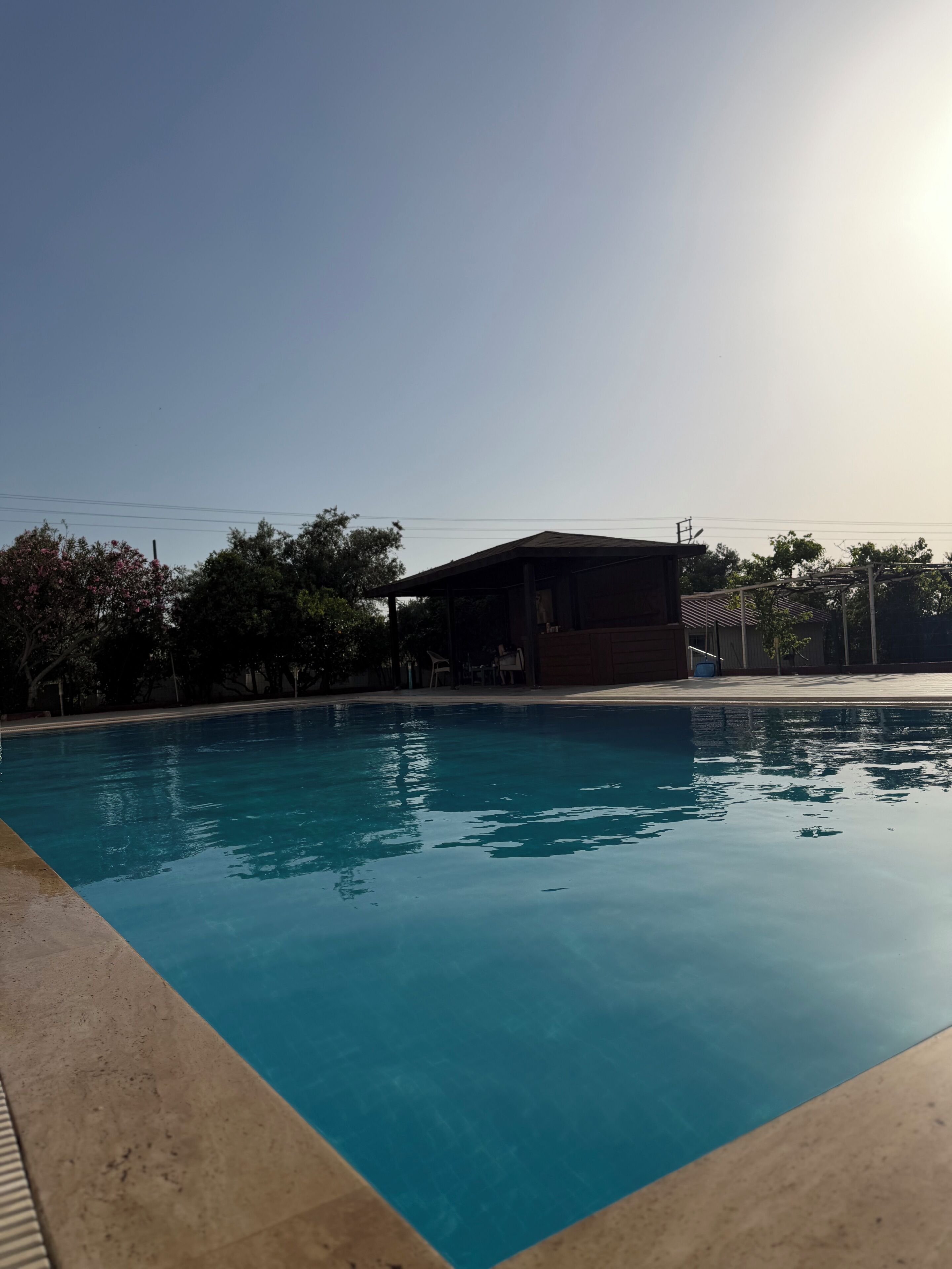 Una piscina cristalina con borde de azulejos, rodeada de árboles y un edificio de techo plano.
