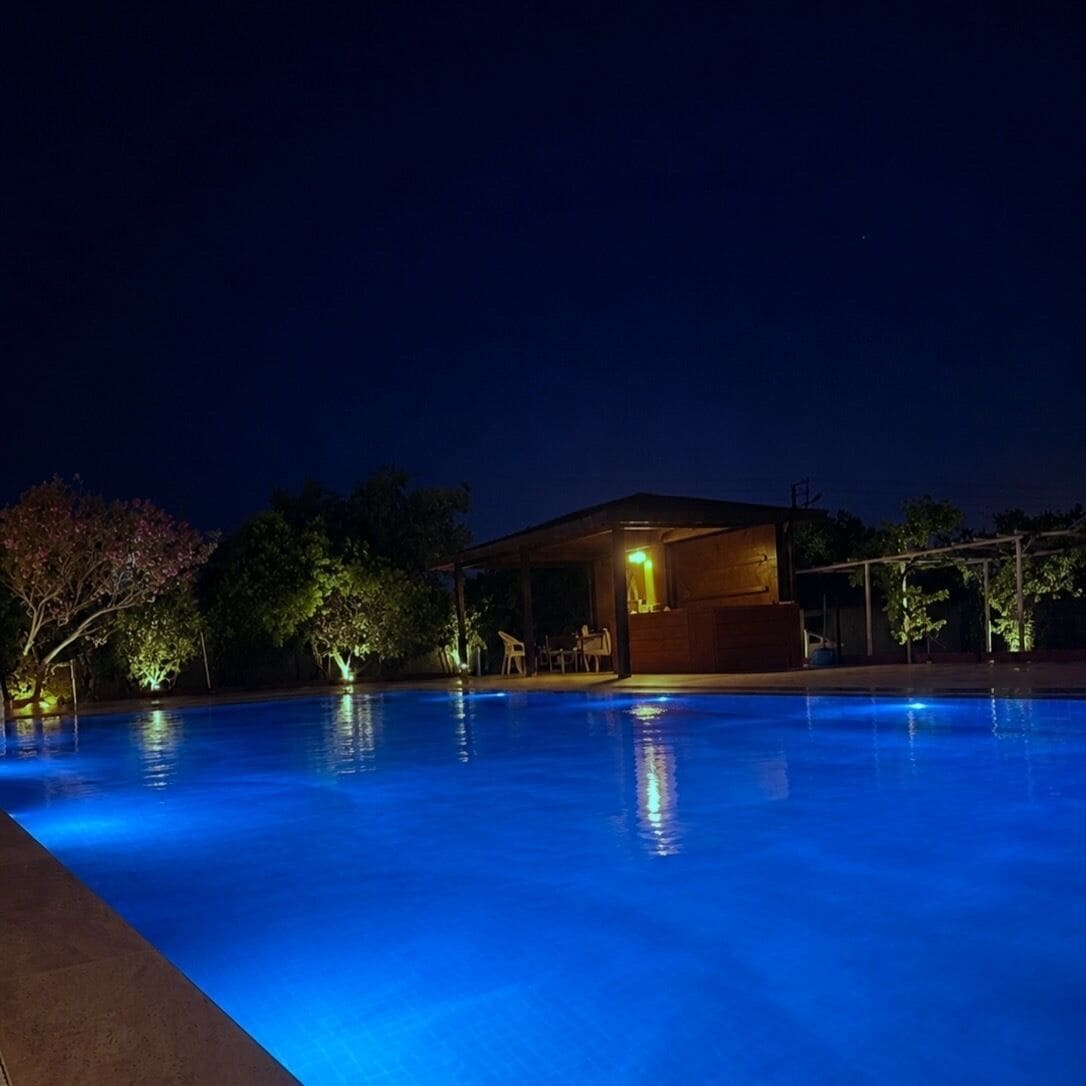 Outdoor pool, open 9:00 AM to 9:00 PM, free pool cabanas, pool loungers