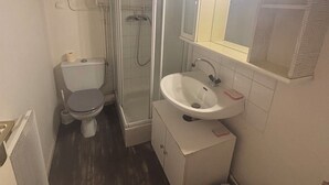 A bathroom with a toilet, shower, sink, and a mirror.