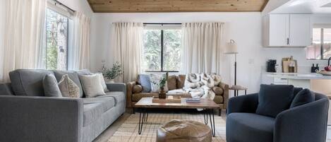 TV, fireplace, video games, books