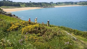 Un paisaje costero con playa, zonas verdes y una vista despejada del mar.
