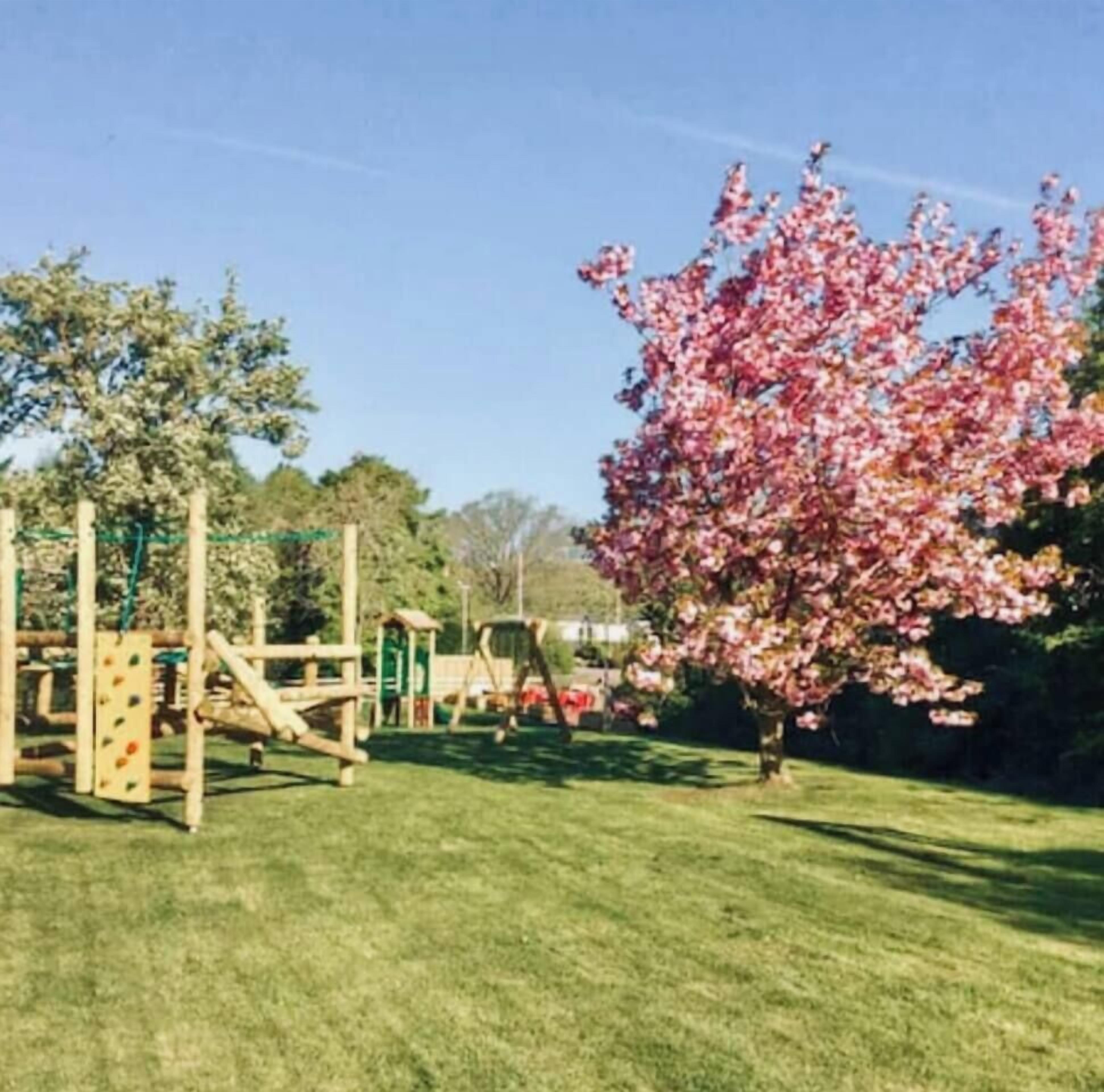 Children’s area