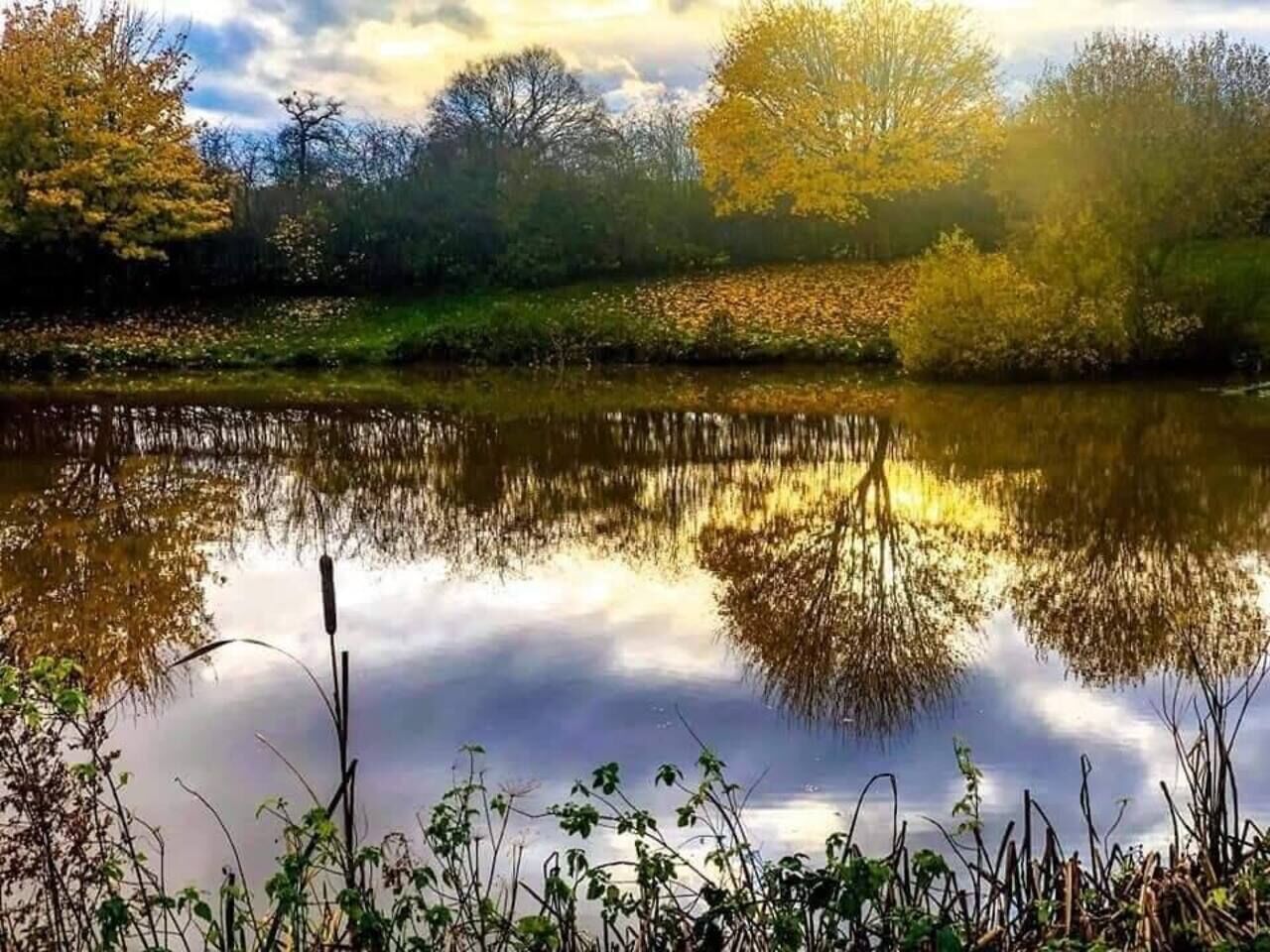 A calm lake with reflections of trees and a clear sky.