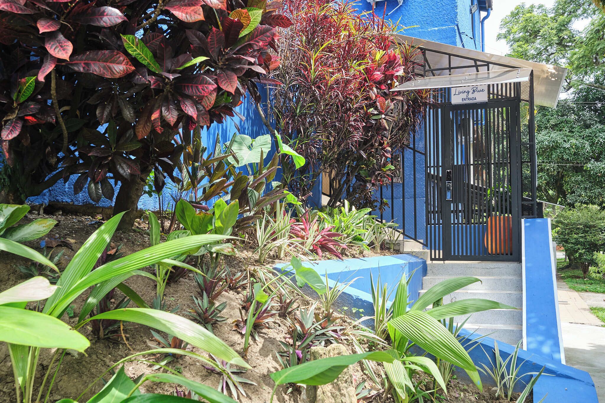 Una entrada protegida por un portón con un letrero, rodeada de plantas diversas y un muro azul.