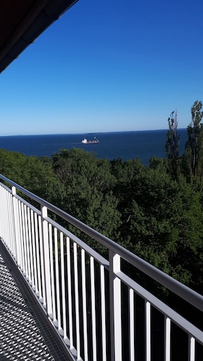 Property grounds - Rügensonne 53 is a small... Thatched-roof vacation home for up to 4 people   Just 300 m from the beach (Mönchgut)