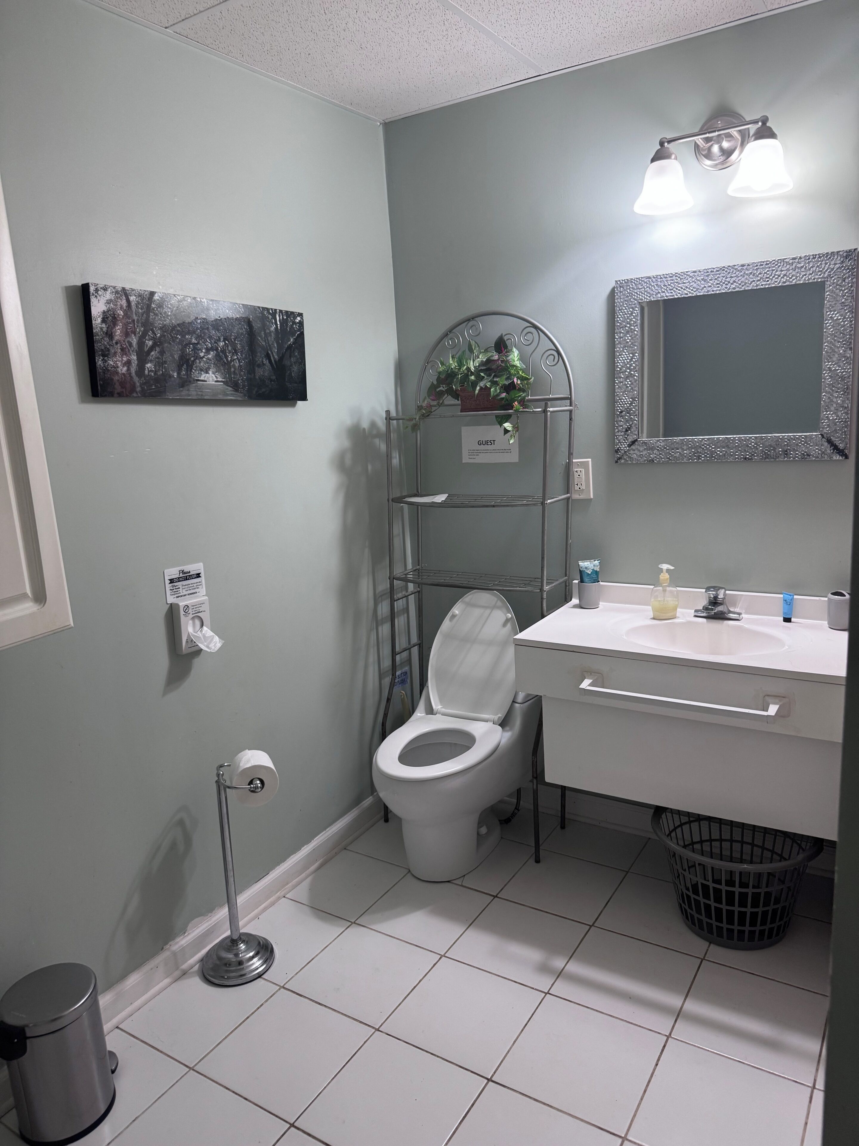Hair dryer, towels, soap, toilet paper