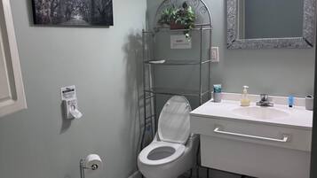 Hair dryer, towels, soap, toilet paper