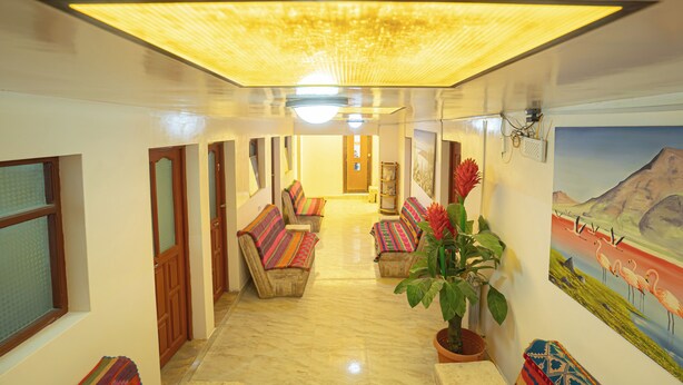 A corridor with seating, a large plant, and a painting on the wall.