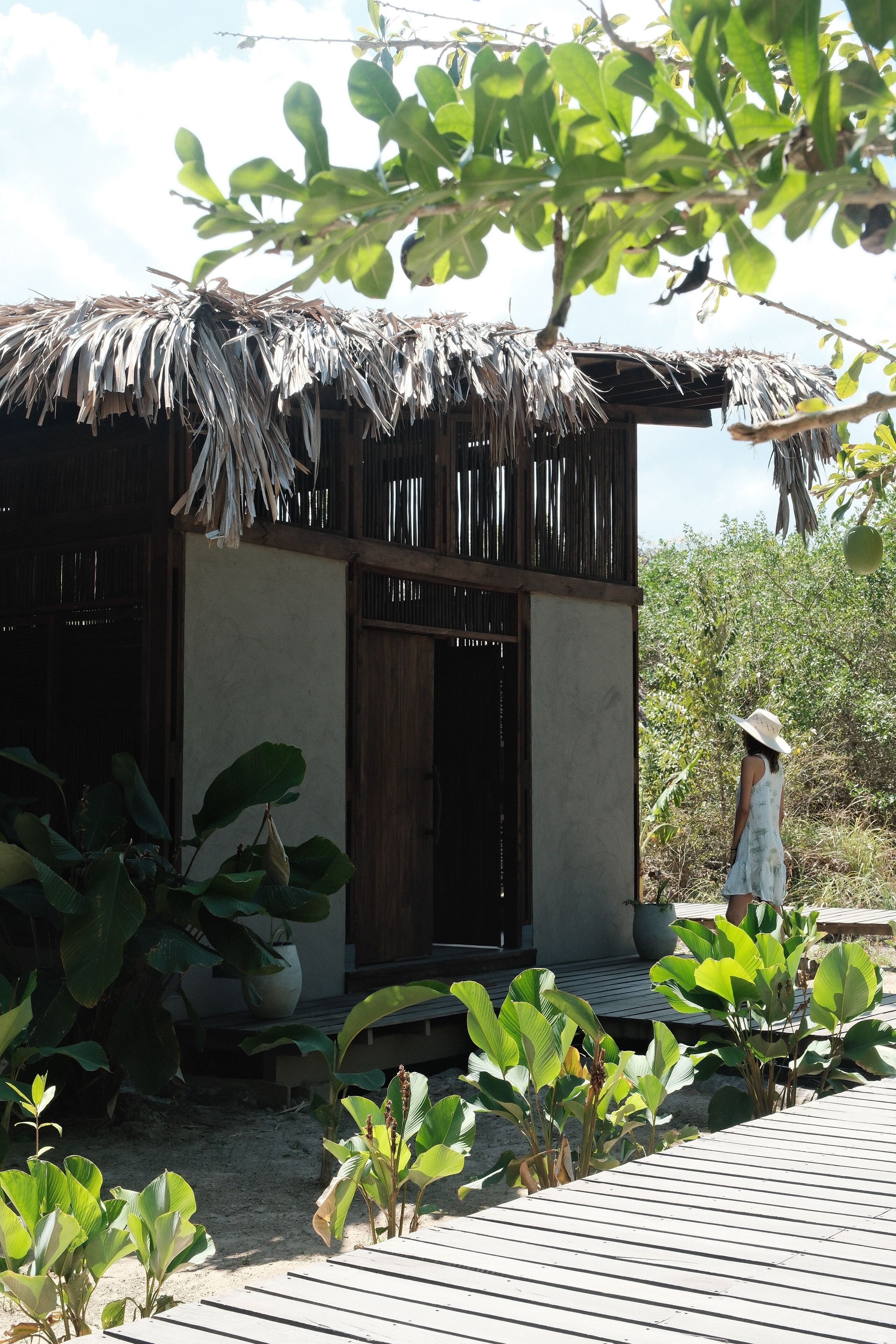 A rustic building with a thatched roof, a wooden door, and a concrete wall.