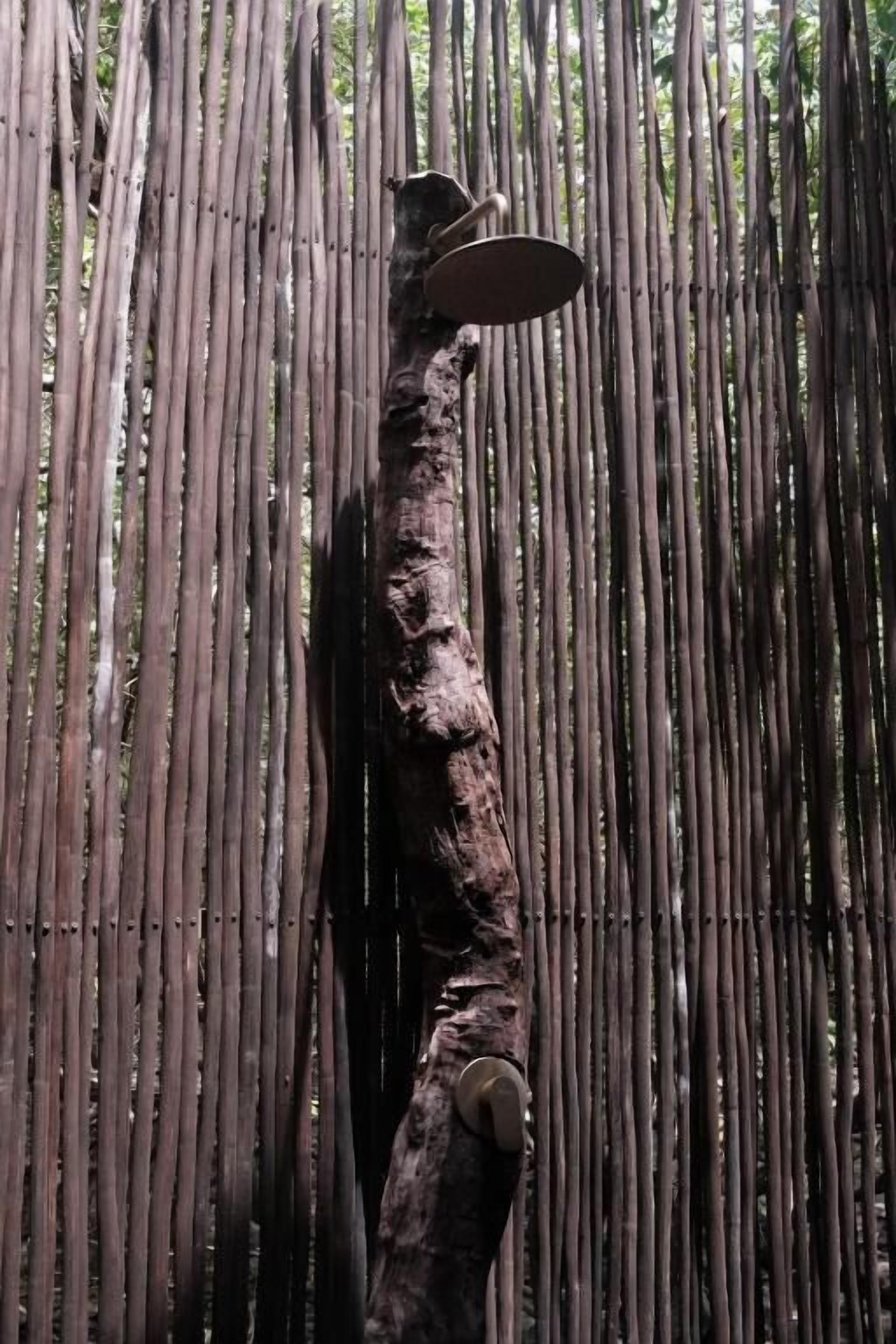 A tall, narrow tree trunk with a circular object on top.