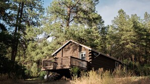 A cabin with a wooden deck, surrounded by tall trees.