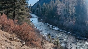 A river flowing through a forested valley with mountains in the background.