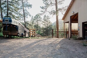 Children’s area - Studio King Cabin on The Piedra River (Archuleta County)