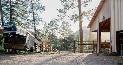 Studio King Cabin on The Piedra River