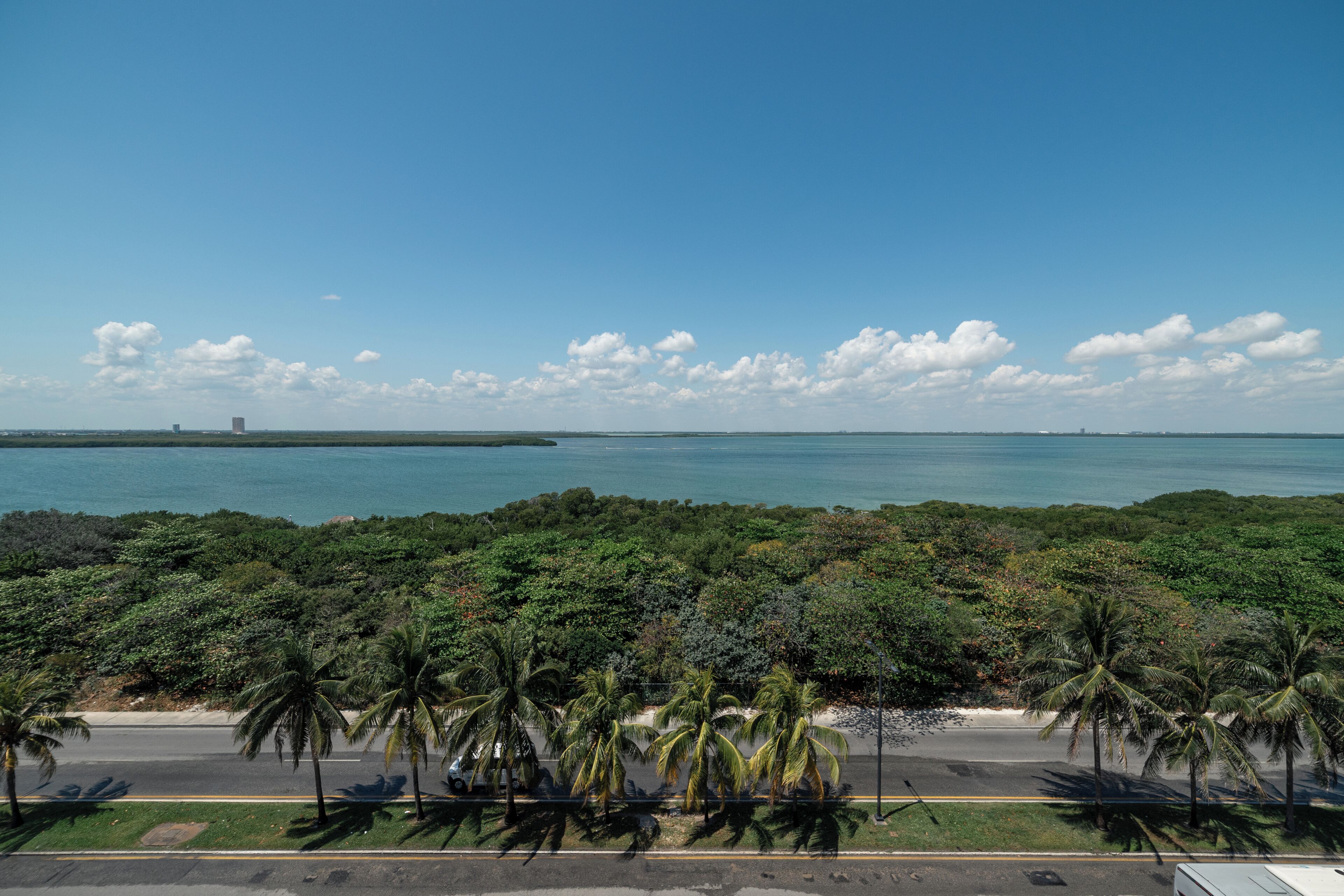 A coastal road with palm trees, a clear sky, and a distant view of the ocean.