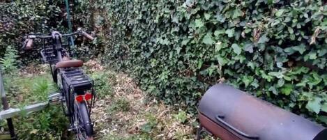 Un jardín con una parrilla de metal y una bicicleta.