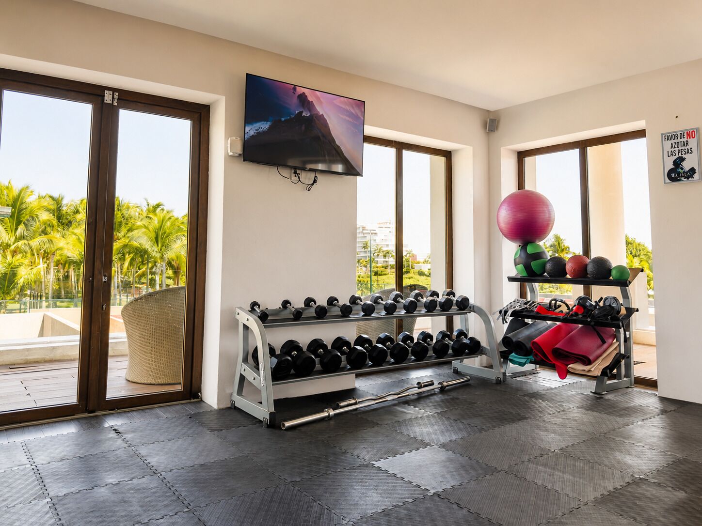 A gym with exercise equipment, a television, and a view of palm trees.