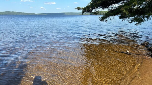 A clear lake with a sandy beach and a tree line in the background.