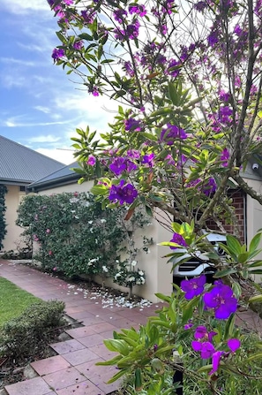 A garden with purple flowers, a paved walkway, and a building with a sloped roof.