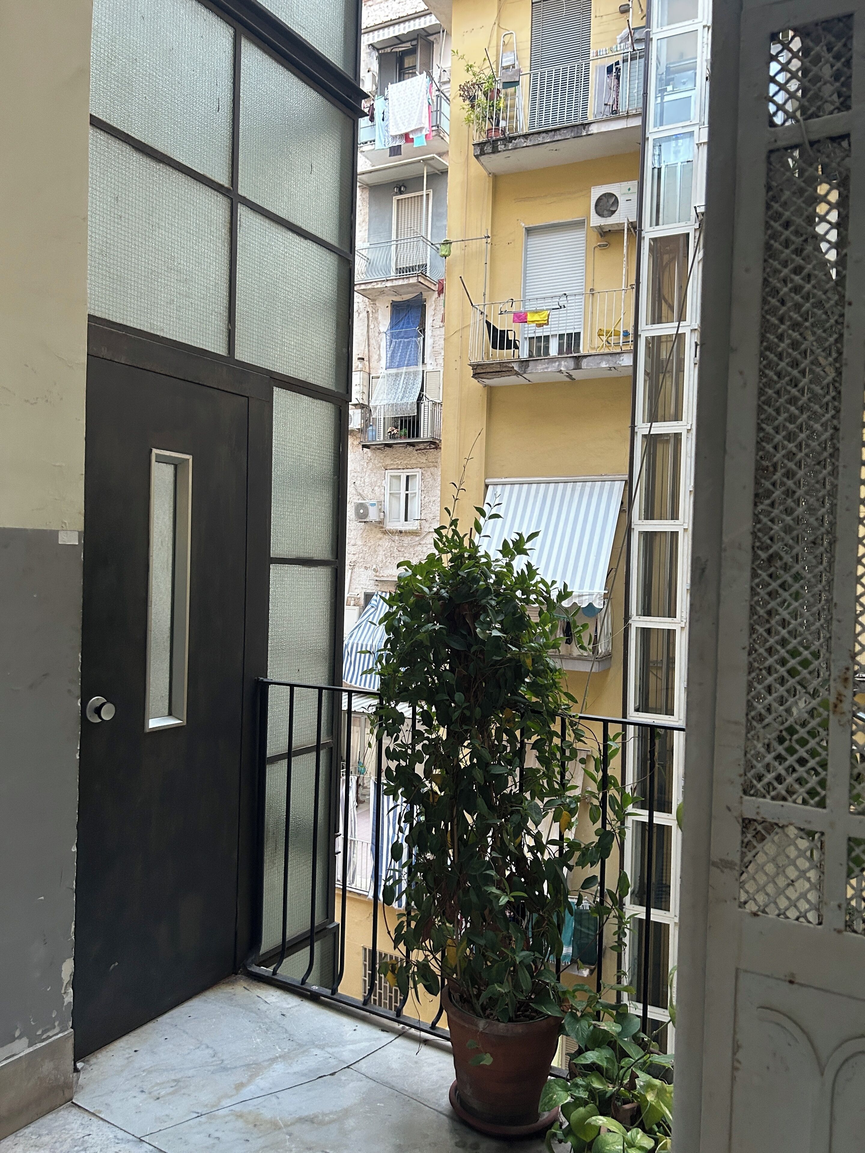 Un balcon orné d’un pot de fleurs, une porte fermée et une vue sur un immeuble jaune doté de balcons.