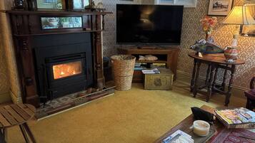 A cozy living room with a fireplace, a television, and a bookshelf.