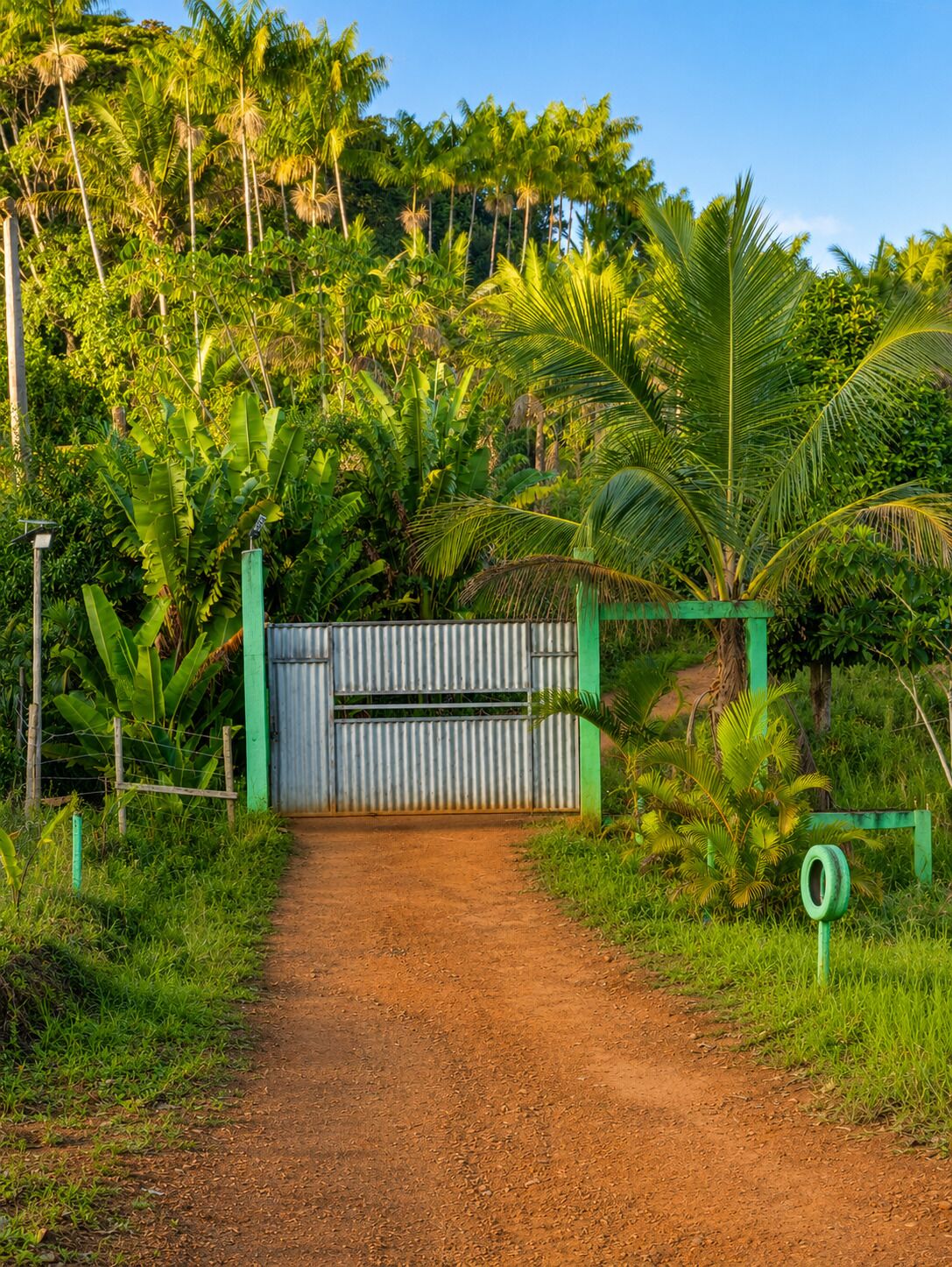 Basic House, Patio | Property grounds