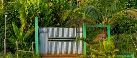 A dirt path leading to a gated area with lush greenery and palm trees.