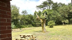 A brick building with a wooden picnic table in a grassy outdoor area. - COUDERE House - SOUSTONS (SOUSTONS)