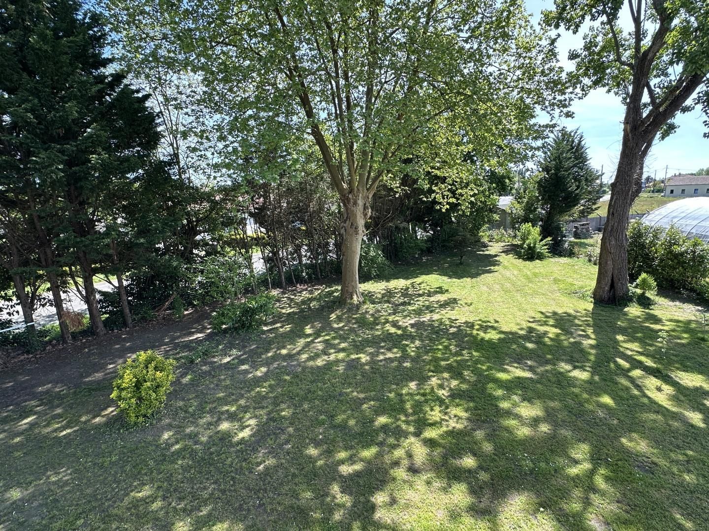 A well-maintained garden with mature trees, a clear sky, and a view of a greenhouse structure in the background.