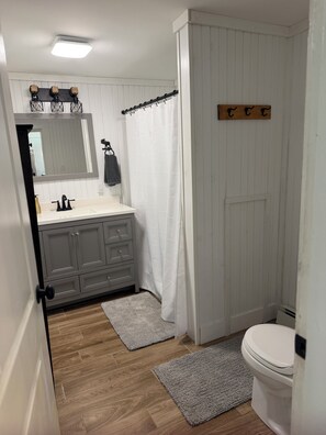 A bathroom with a shower curtain, a toilet, a sink with a mirror, and a cabinet. - Easy walk to lake, shops & restaurants, HOT TUB (Rangeley)