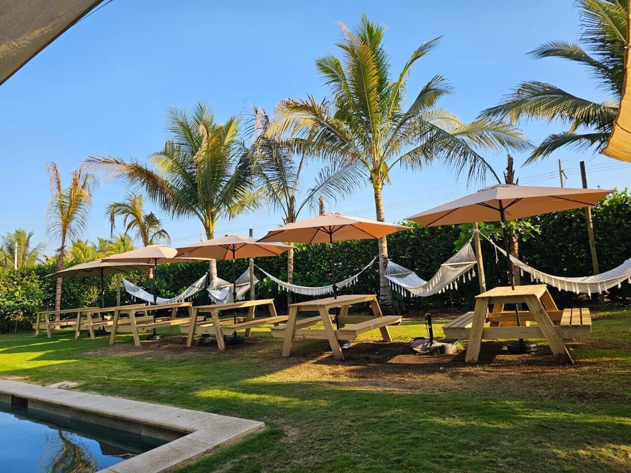 A poolside area with wooden picnic tables and hammocks under umbrellas, surrounded by palm trees.